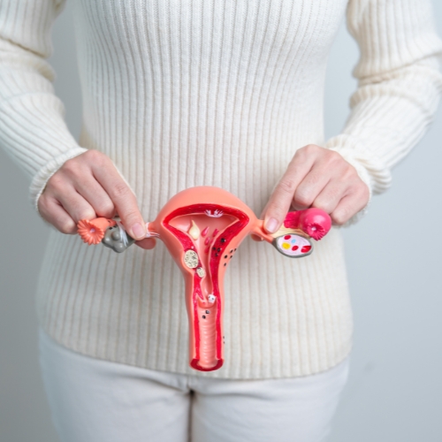 Artificial embryos in uterus – breakthrough infertility treatment offering new hope for female fertility and IVF alternatives
